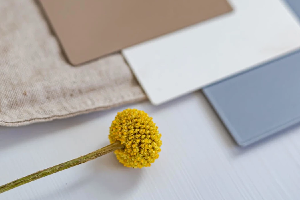 Colour samples Sentimo