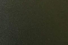 RAL 6015 Fine Texture