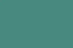 RAL 6033