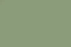 RAL 6021